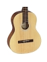 Ortega RST5M