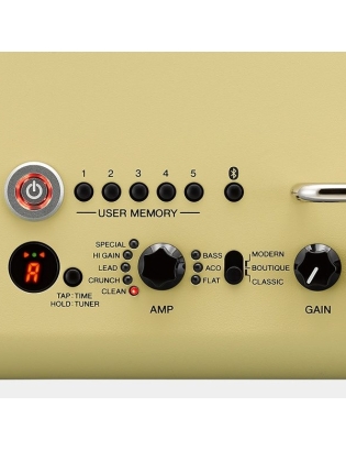 YAMAHA THR30II Wireless