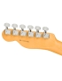 Fender® American Pro II Telecaster® RW OWT