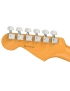 Fender® American Pro II Stratocaster® RW RST PINE