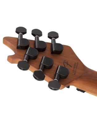 EVH® Wolfgang® WG Standard BKD MN NEO