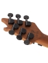 EVH® Wolfgang® WG Standard BKD MN NEO