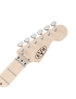 EVH® Striped Series WB