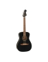 Fender® Joe Strummer Campfire WN MBK