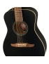 Fender® Joe Strummer Campfire WN MBK