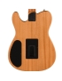 Fender® Acoustasonic™ Player Telecaster® RW BRSH BK