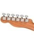 Fender® Acoustasonic™ Player Telecaster® RW BRSH BK