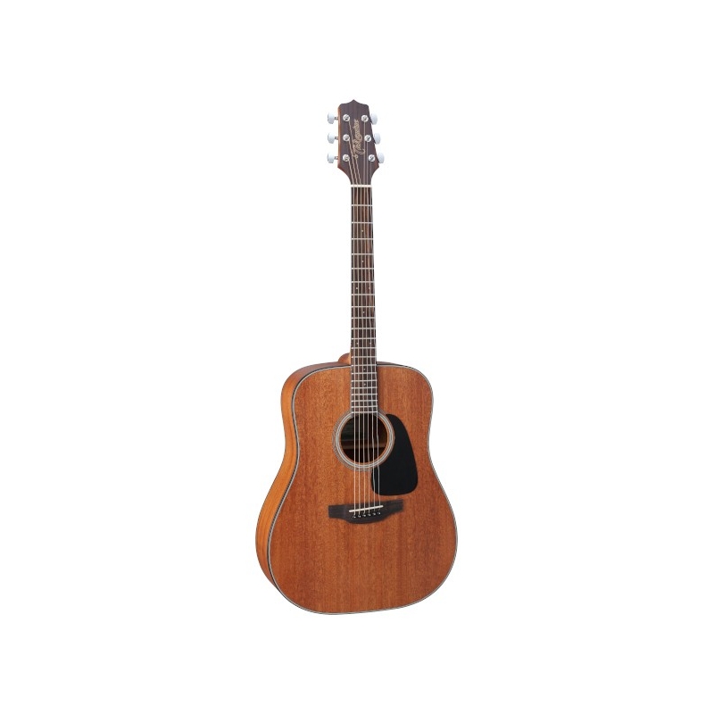 Takamine GD11M-NS
