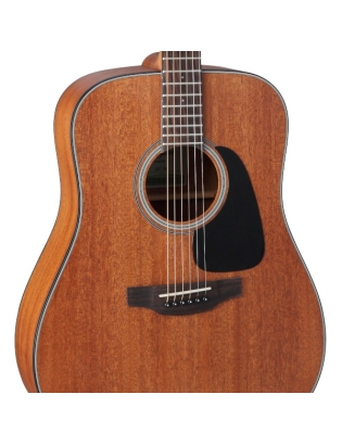 Takamine GD11M-NS