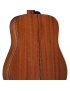 Takamine GD11M-NS