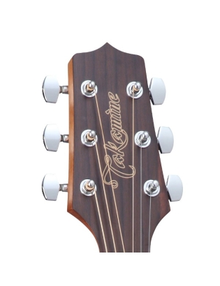 Takamine GD11M-NS