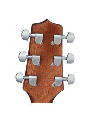 Takamine GD11M-NS