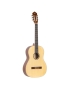 Ortega R121SN