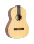 Ortega R121SN