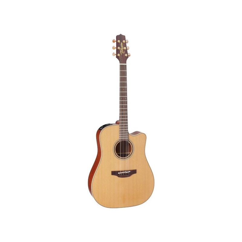 Takamine P3DC