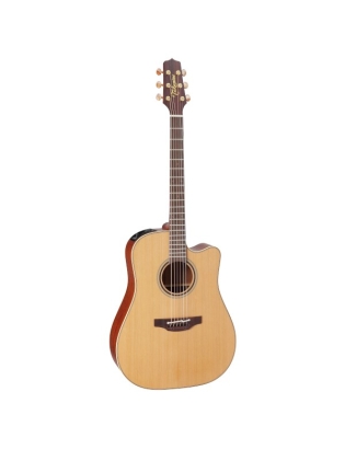 Takamine P3DC