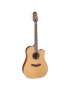 Takamine P3DC