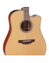 Takamine P3DC