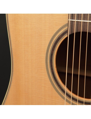 Takamine P3DC