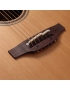 Takamine P3DC