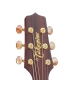 Takamine P3DC