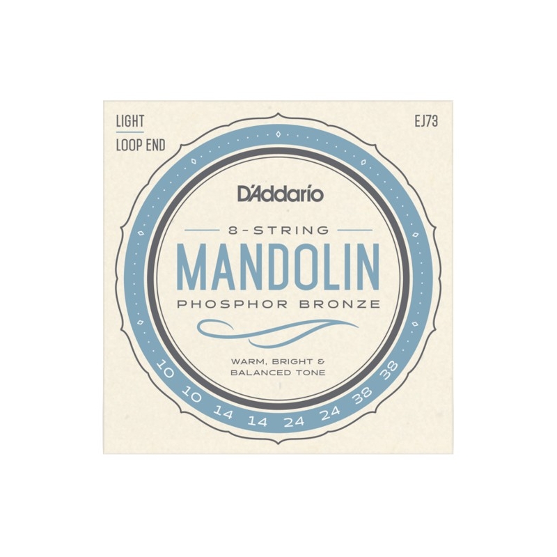 D'Addario EJ73