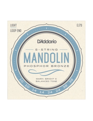D'Addario EJ73