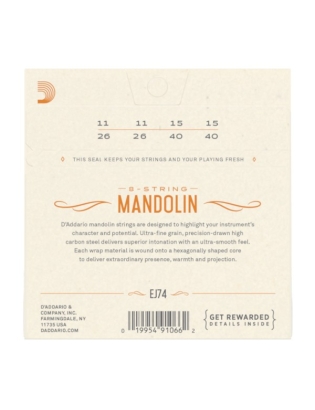 D'Addario EJ74