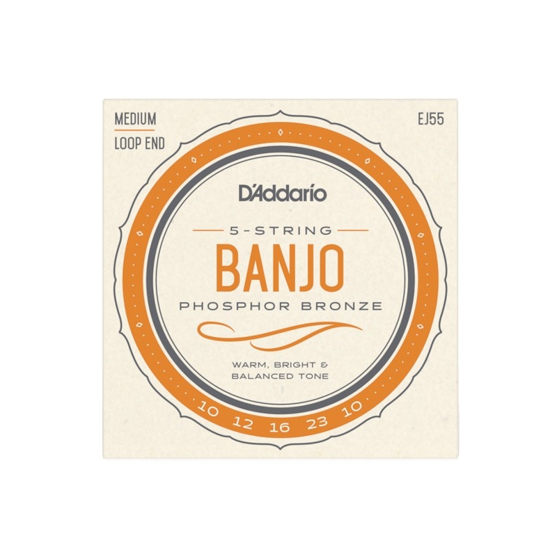 D'Addario EJ55