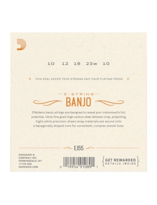 D'Addario EJ55