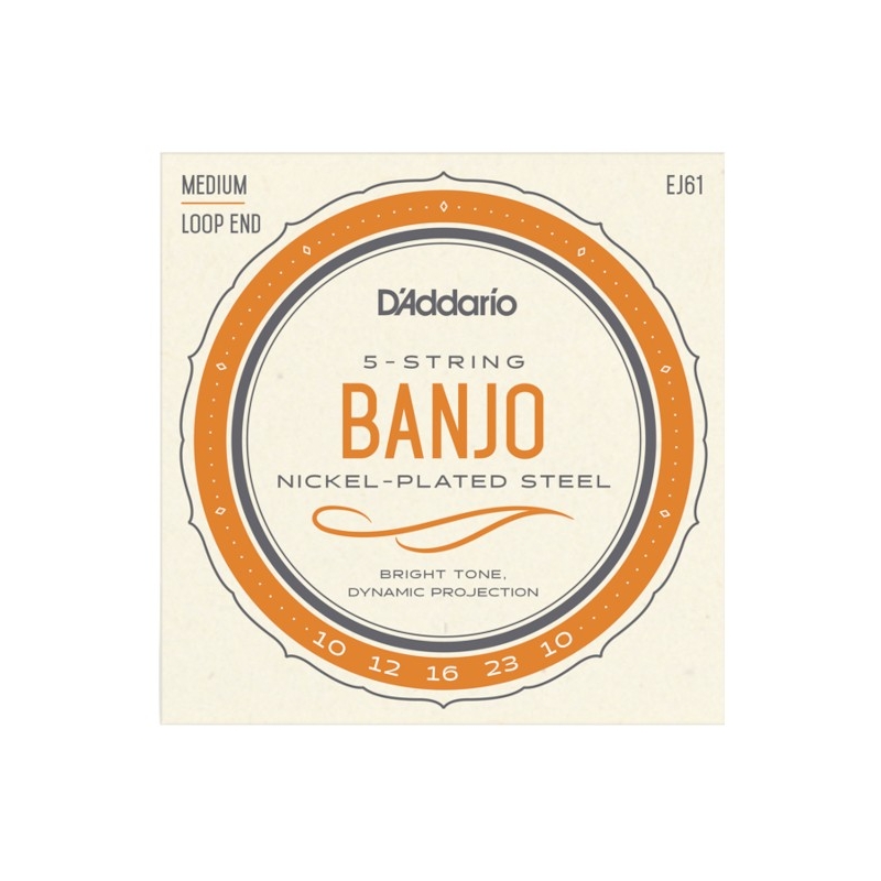 D'Addario EJ61