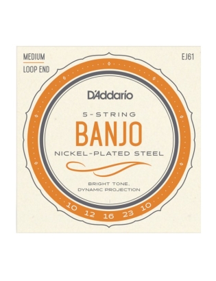 D'Addario EJ61