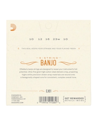 D'Addario EJ61