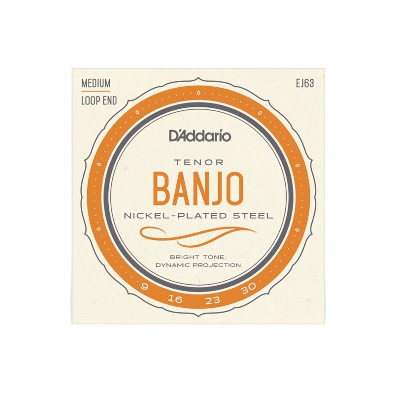 D'Addario EJ63