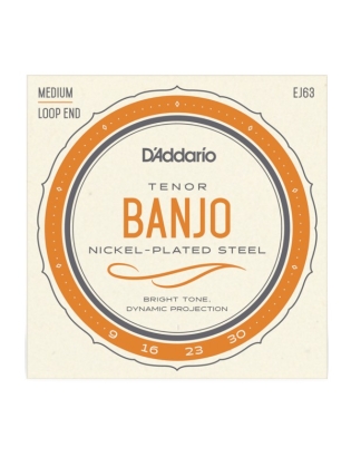D'Addario EJ63