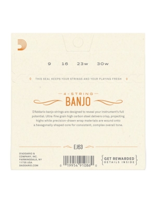 D'Addario EJ63