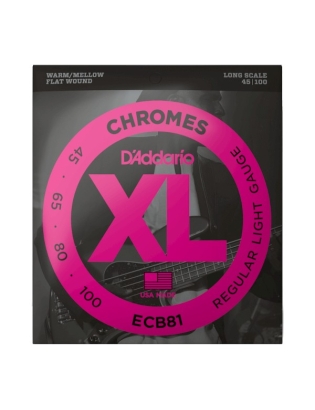 D'Addario ECB81