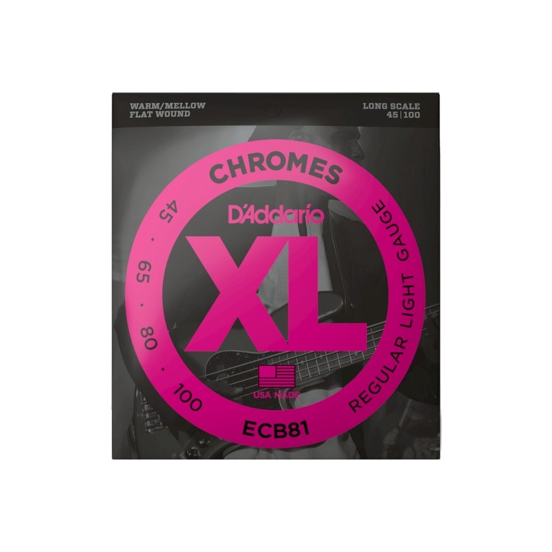D'Addario ECB81