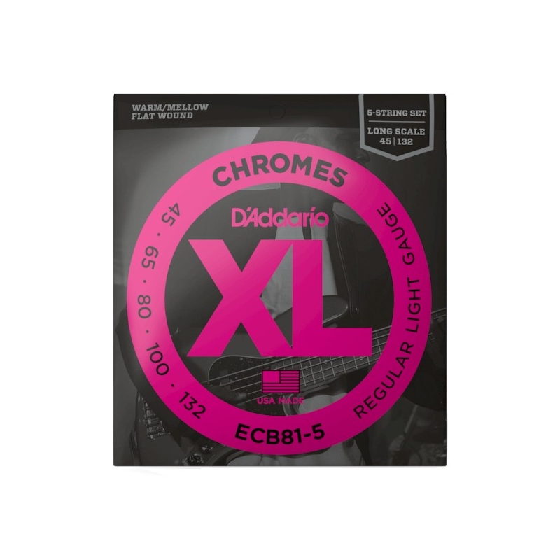 D'Addario ECB81-5