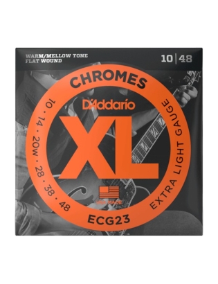 D'Addario ECG23