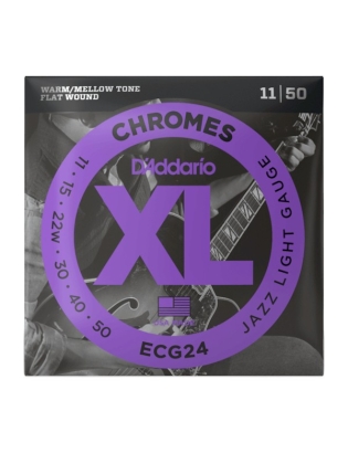 D'Addario ECG24