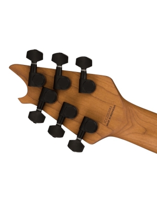 EVH® Wolfgang® WG Standard BKD MN GCR