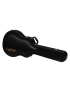 Epiphone 335/Casino-Type Hard Case