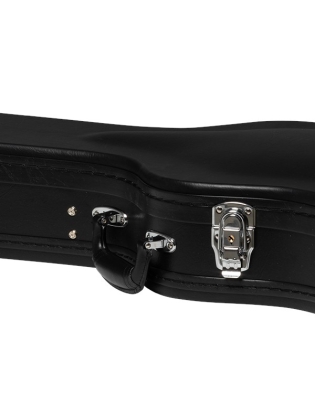 Epiphone 335/Casino-Type Hard Case