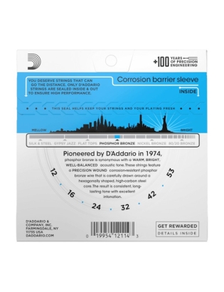 D'Addario EJ16 Phosphor Bronze Light