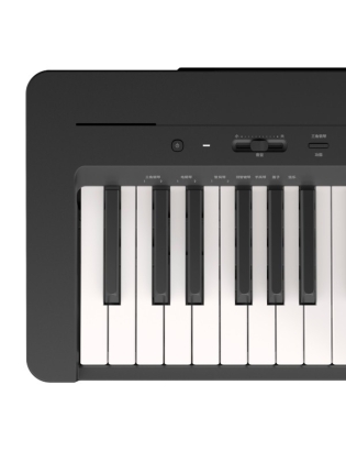 YAMAHA P-145 B