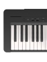 YAMAHA P-145 B