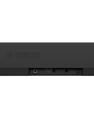 YAMAHA P-145 B
