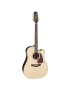 Takamine P5DC