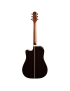 Takamine P5DC